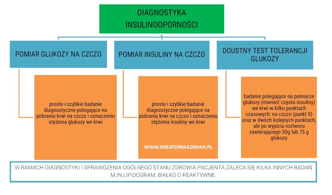 Jak się przygotować do badania insuliny, aby uzyskać dokładne wyniki